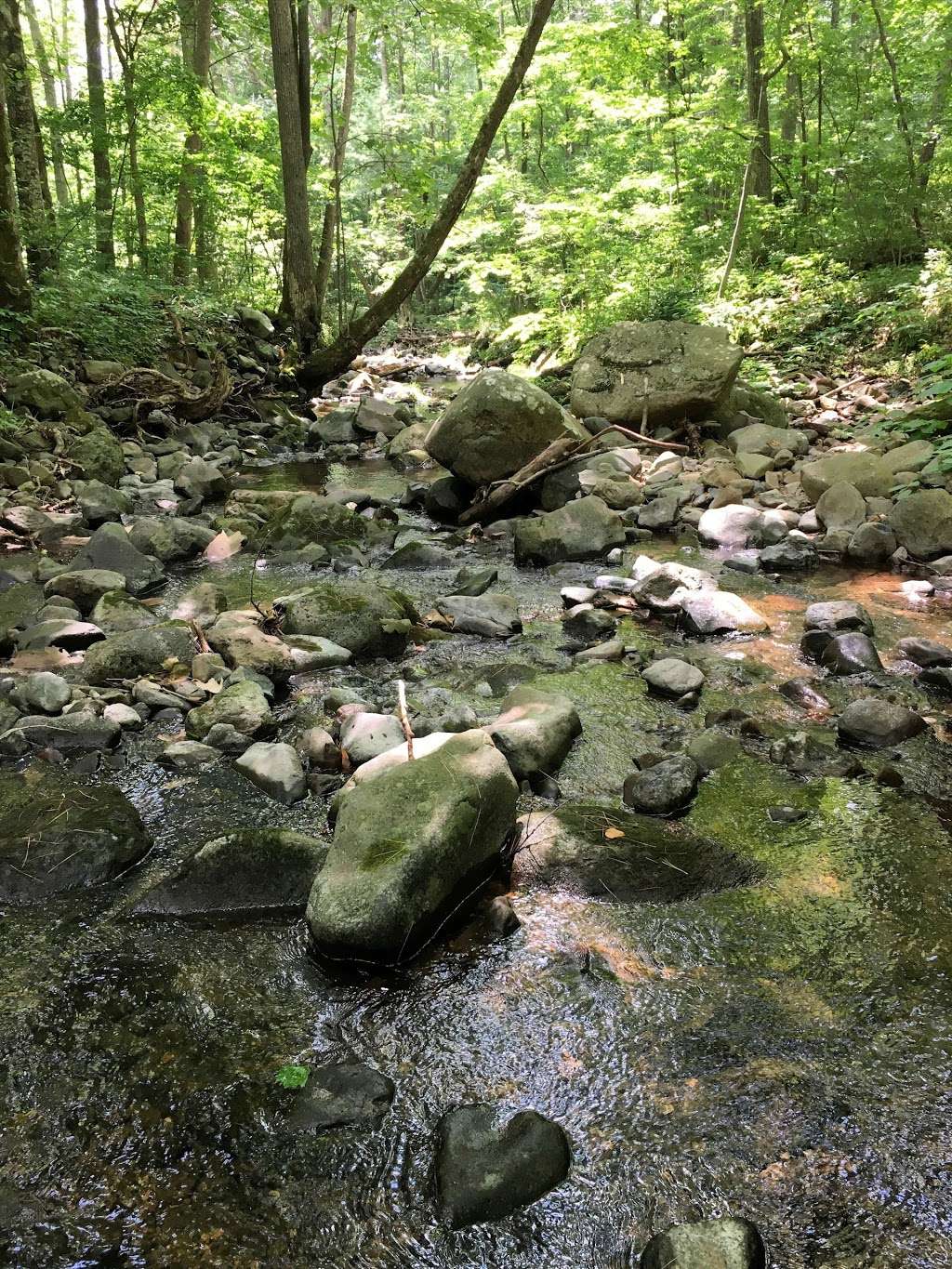 Piney River | Sperryville, VA 22740, USA