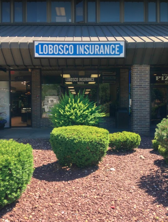 Lobosco Insurance Group, LLC | 1003 McBride Ave, Woodland Park, NJ 07424 | Phone: (973) 256-7703