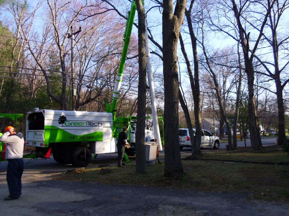 Greentech Tree Care | 41 Union St, Holbrook, MA 02343 | Phone: (781) 767-3888