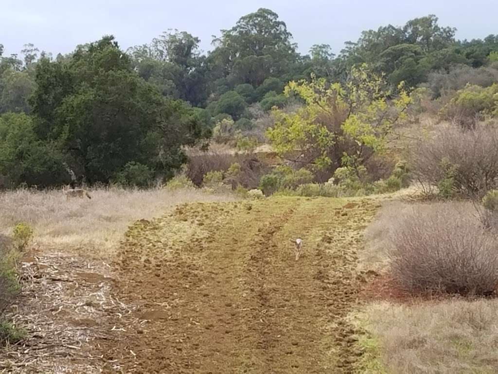 Fremont Older Open Space Preserve | Cupertino, CA 95014, USA | Phone: (650) 691-1200