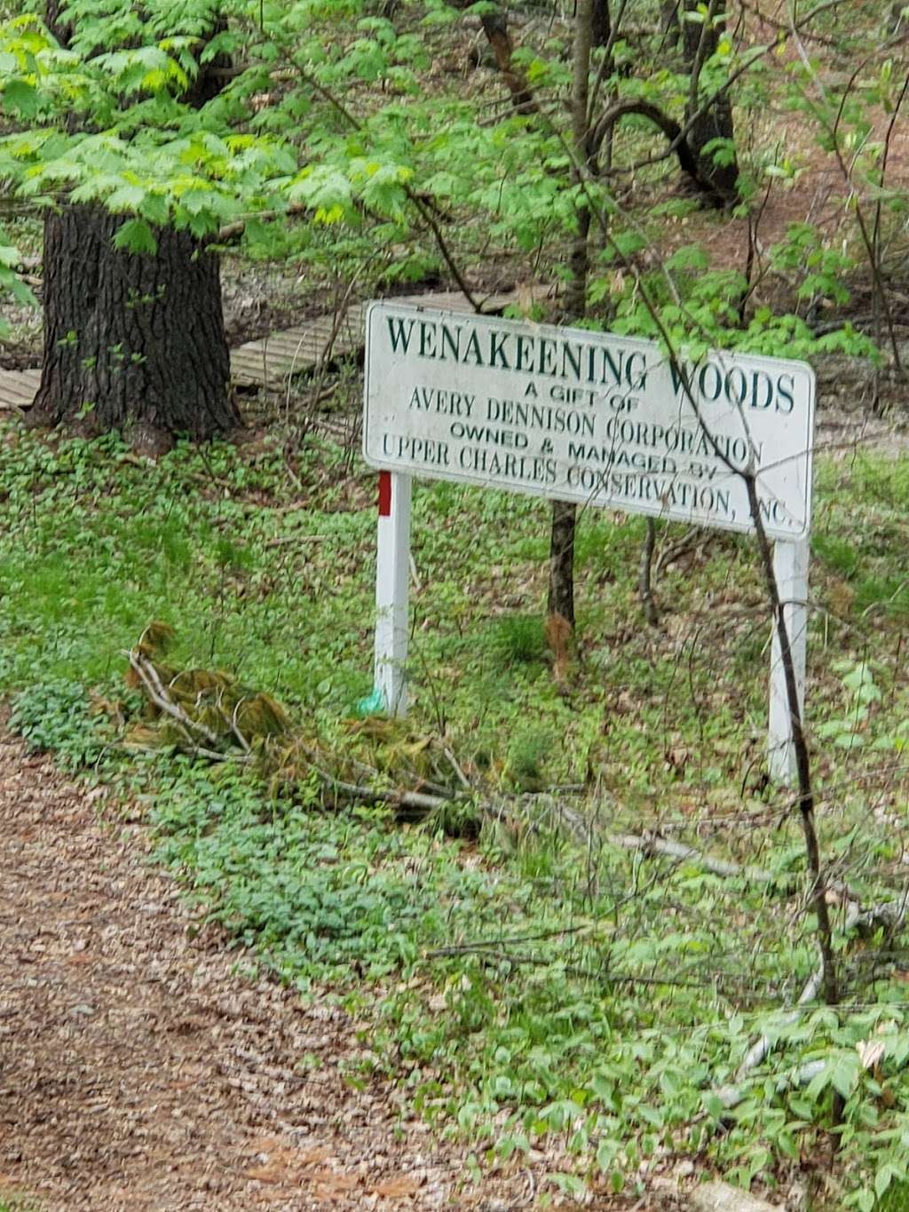 Wenakeening Woods Public Access | Highland St, Holliston, MA 01746, USA