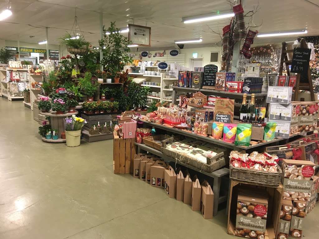 Carpenters Nursery & Farm Shop | 106 St.Albans Rd, Sandridge, St Albans AL4 9LJ, UK | Phone: 01727 853340