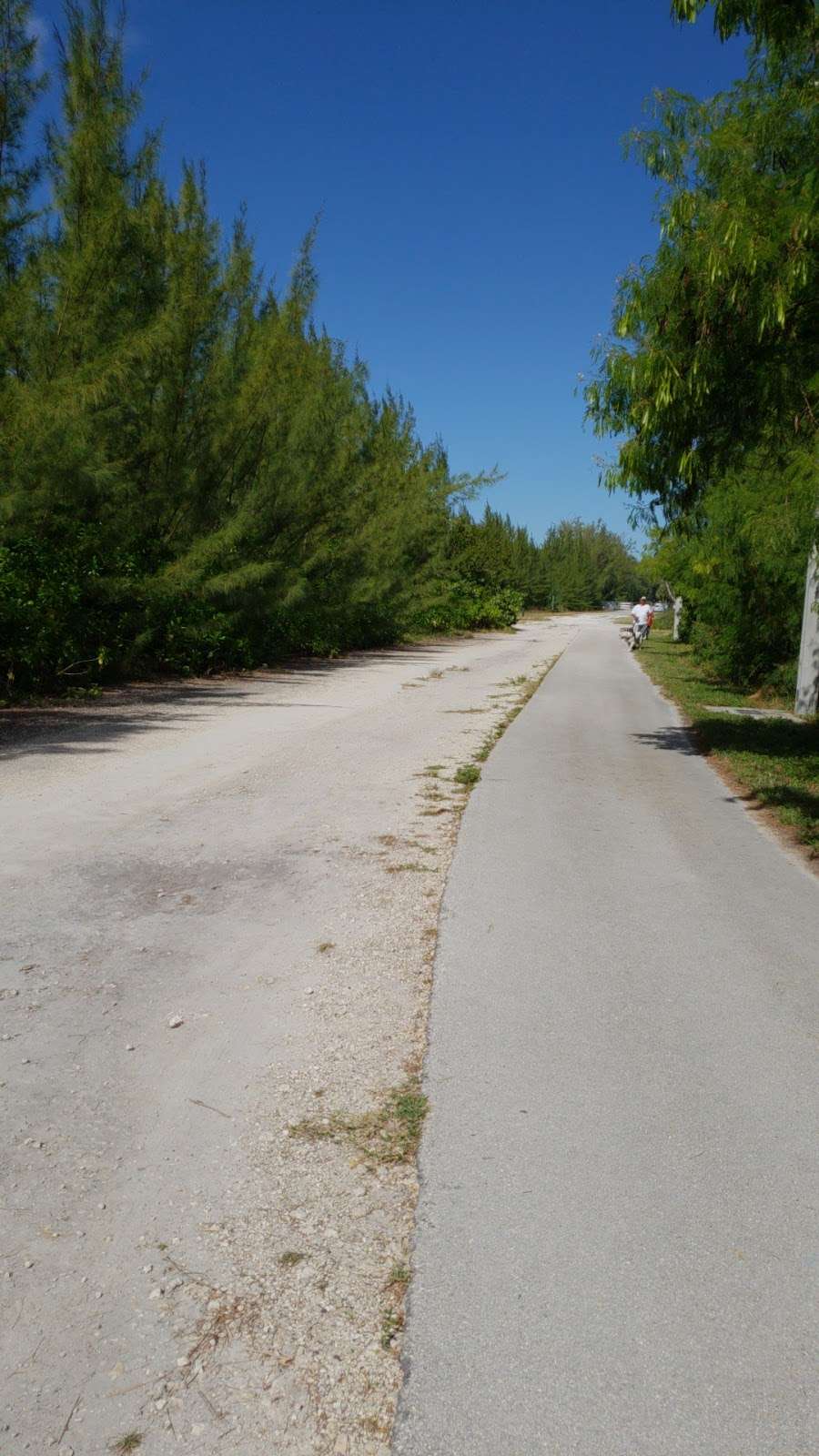 Osprey Triangle | Unnamed Road, North Miami, FL 33181, USA