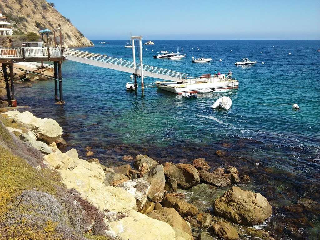 Hamilton Cove Real Estate and Vacation Rentals | 116 Clarissa Ave, Avalon, CA 90704, USA | Phone: (310) 510-0190