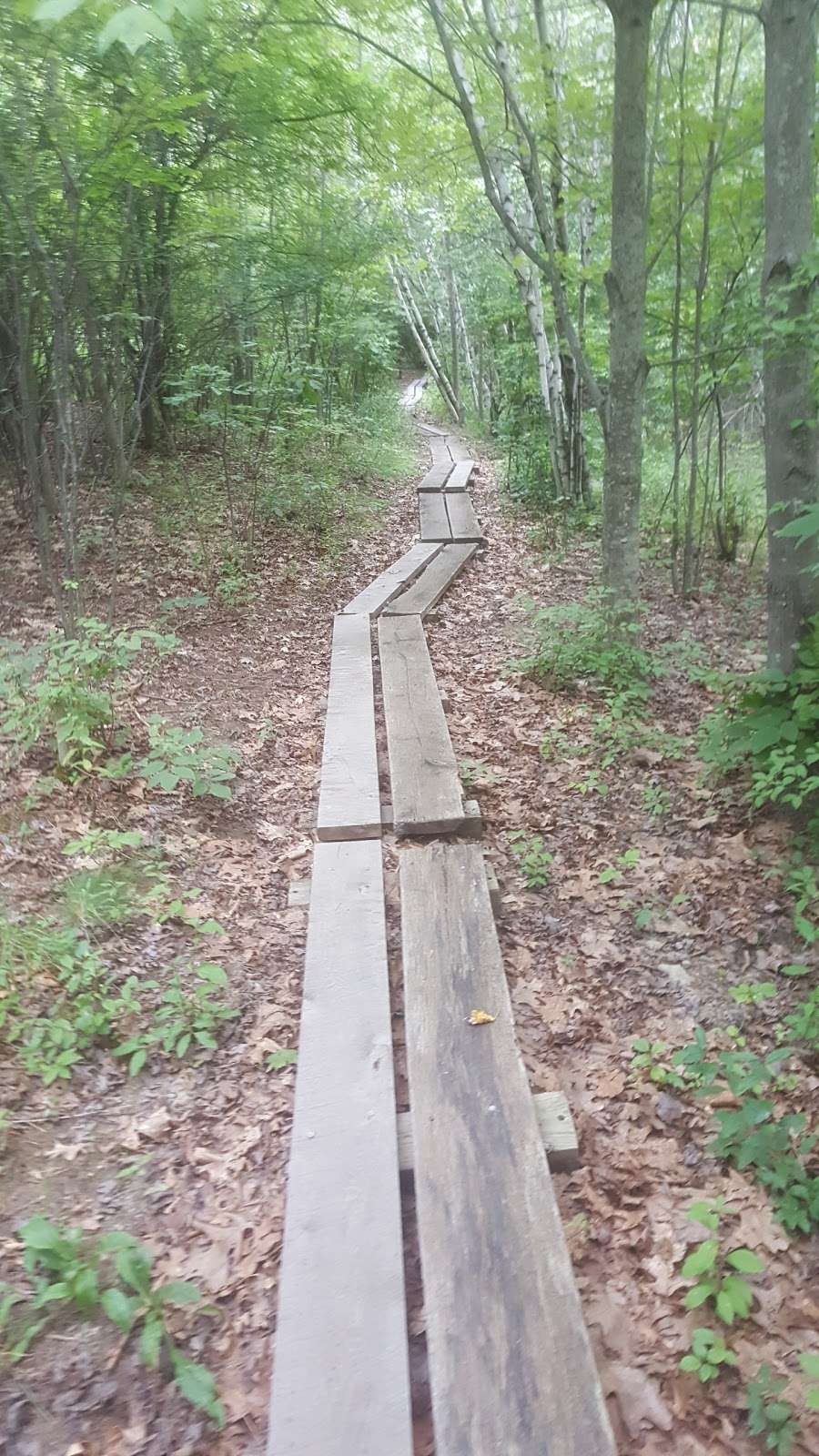 Mombasha High Point | Appalachian Trail, Monroe, NY 10950, USA