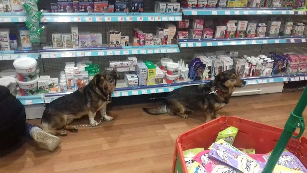 Pets at Home Wimbledon | Retail Park, Plough Ln, London SW17 0BW, UK | Phone: 0345 850 9610