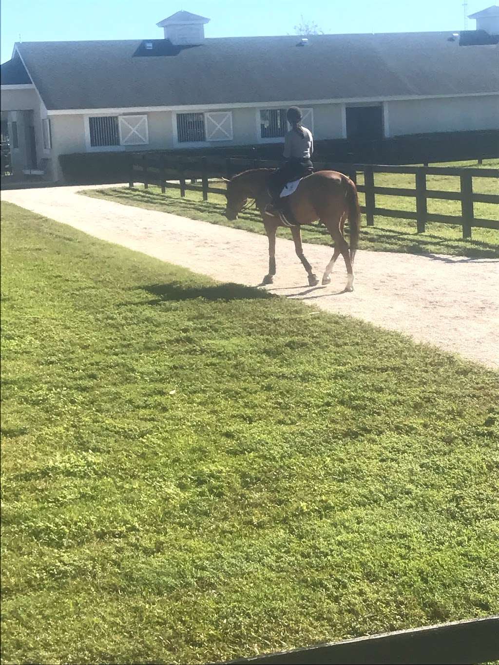 South Shore Riding Stables | 37 Corn Hill Ln, North Marshfield, MA 02059, USA | Phone: (508) 728-1665