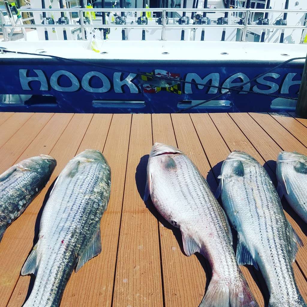 Hook Mash Charter Fishing | 421 Deale Rd, Tracys Landing, MD 20779, USA | Phone: (443) 336-3011