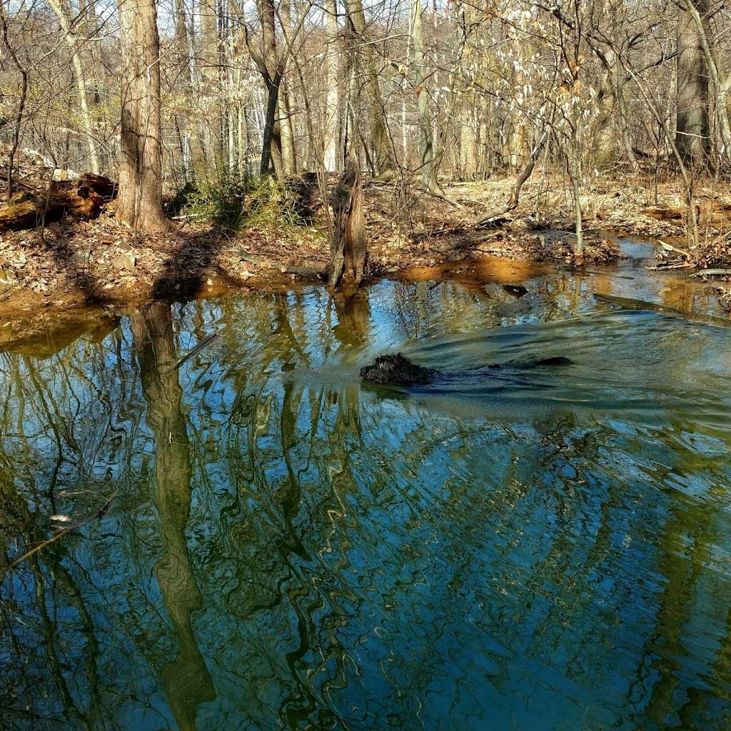 Dickerson Mine Preserve | Mine Hill Township, NJ 07803