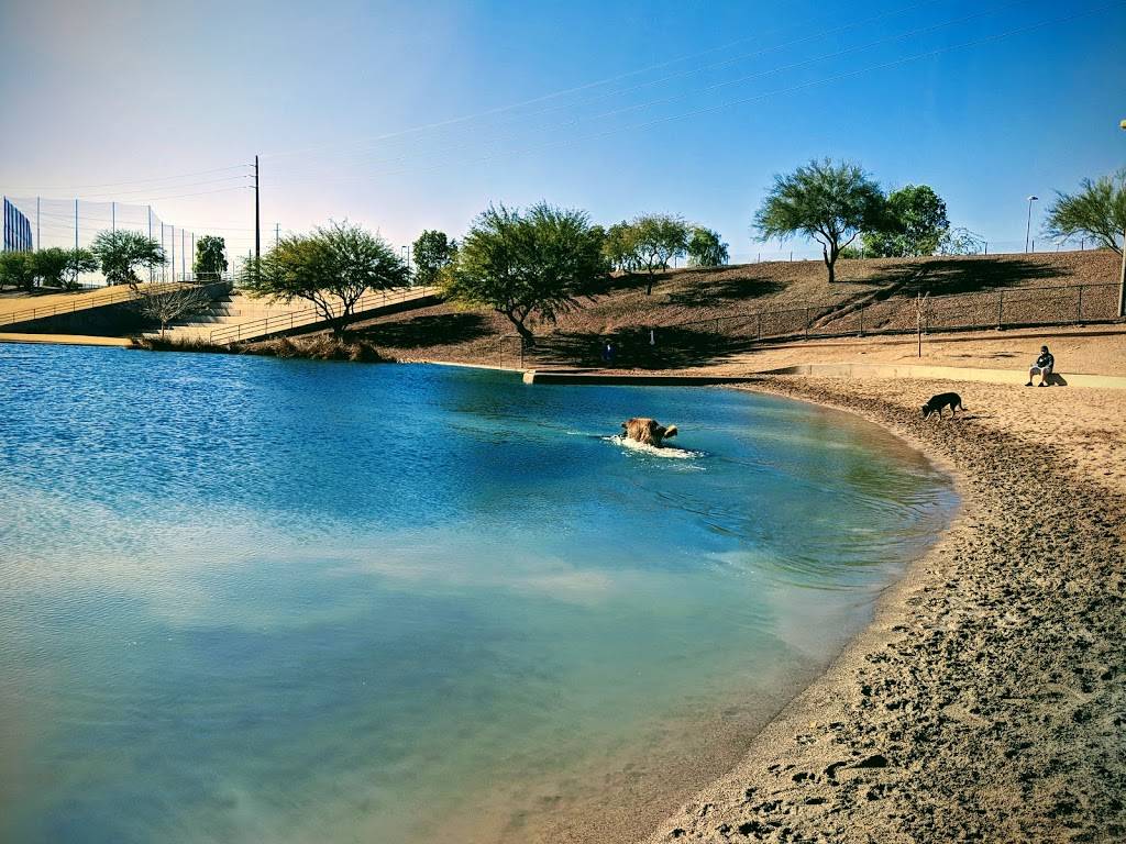 Cosmo Dog Park | 2502 E Ray Rd, Gilbert, AZ 85296, USA | Phone: (480) 503-6200