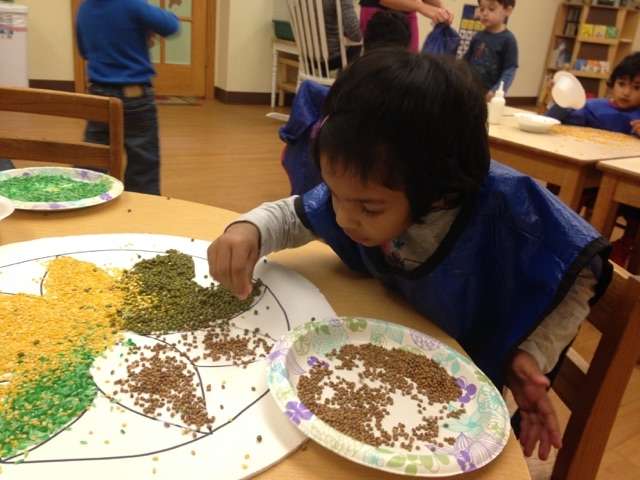 The Cherry Blossom Montessori School | 20 Equator Ave, Flagtown, NJ 08821, USA | Phone: (908) 369-4436