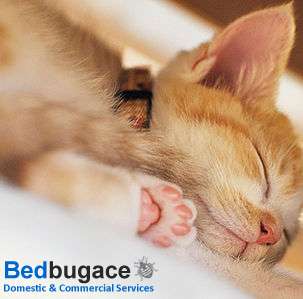 Bedbugace | 52 Pound Rd, Banstead SM7 2HU, UK | Phone: 07342 940195