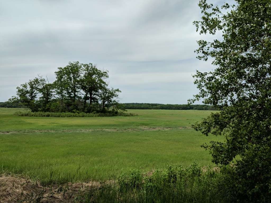 Mass Audubons Rough Meadows Wildlife Sanctuary | Patmos Rd, Rowley, MA 01969, USA | Phone: (978) 462-9998