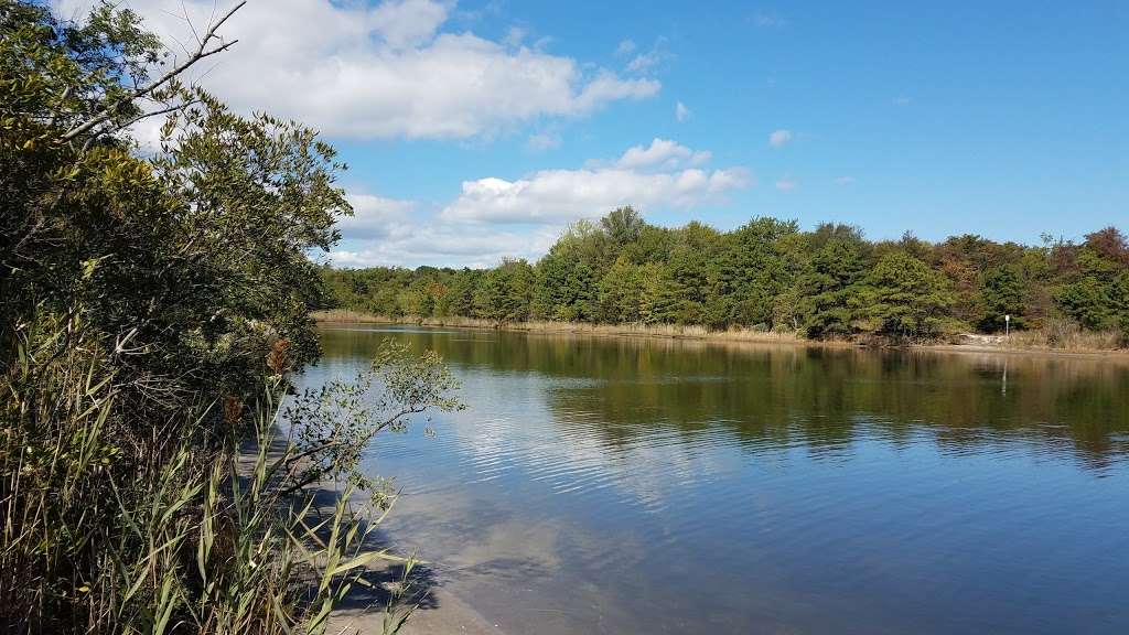 Edwin B. Forsythe National Wildlife Refuge- deCamp Wildlife Trai | 365 Mantoloking Rd, Brick, NJ 08723, USA