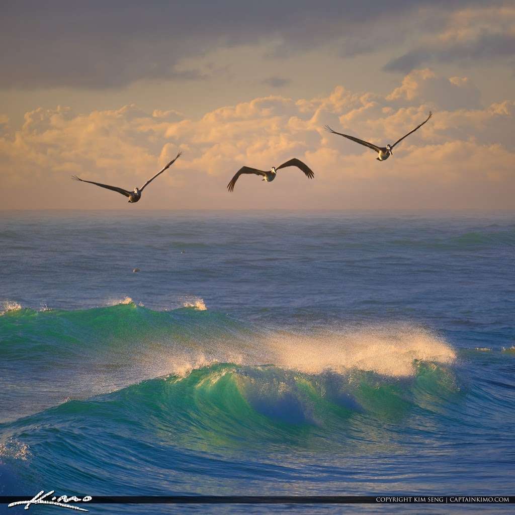 Jupiter Inlet Parking | Jupiter, FL 33477, USA