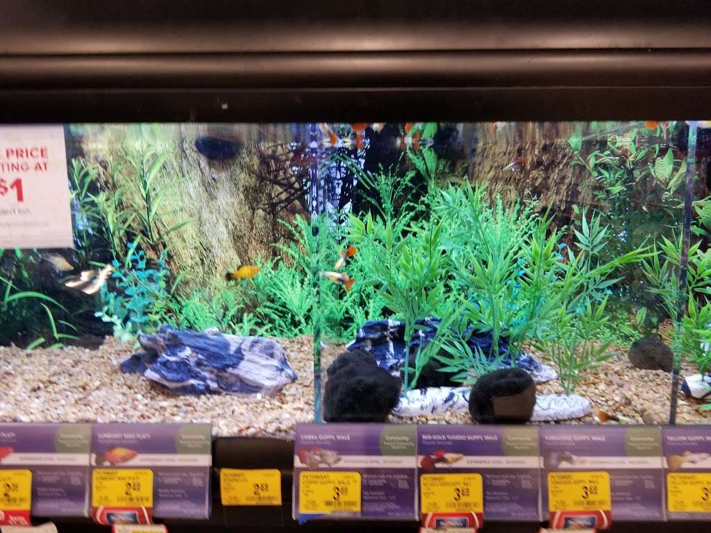 PetSmart | 7888 Van Nuys Blvd #1, Van Nuys, CA 91402, USA | Phone: (818) 742-1758