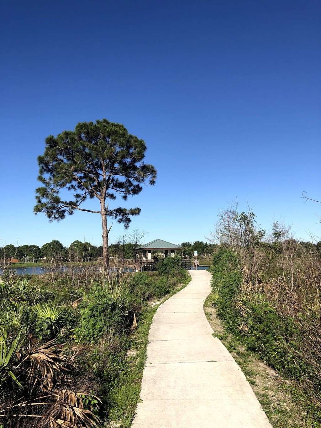 North Jupiter Flatwoods Natural Area | Misty Lake Pl, Jupiter, FL 33458, USA