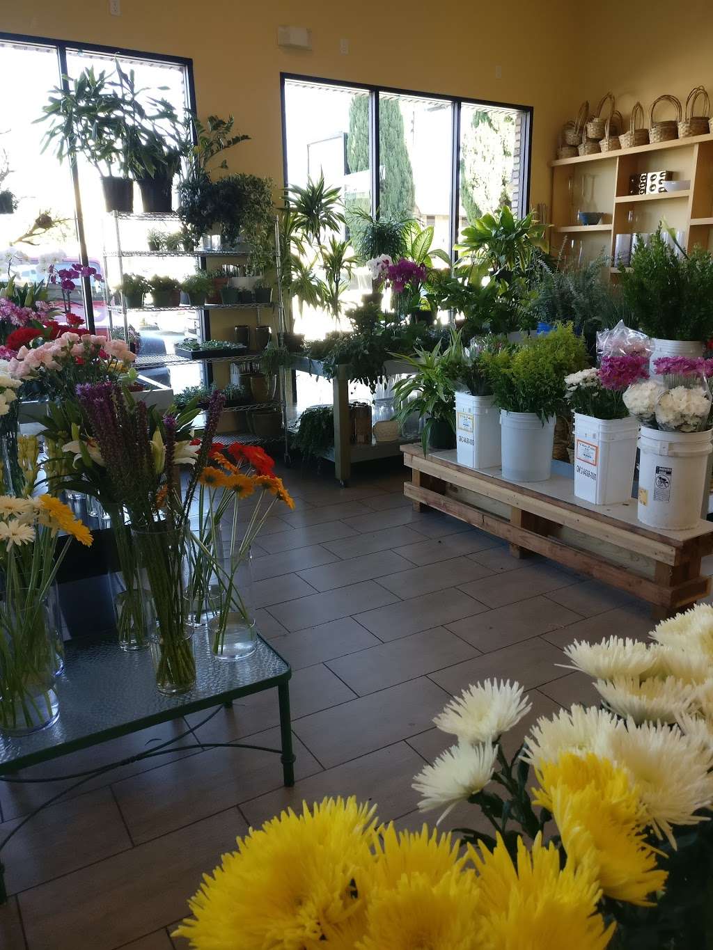 American Flowers | 12404 Venice Blvd, Los Angeles, CA 90066 | Phone: (310) 499-2529