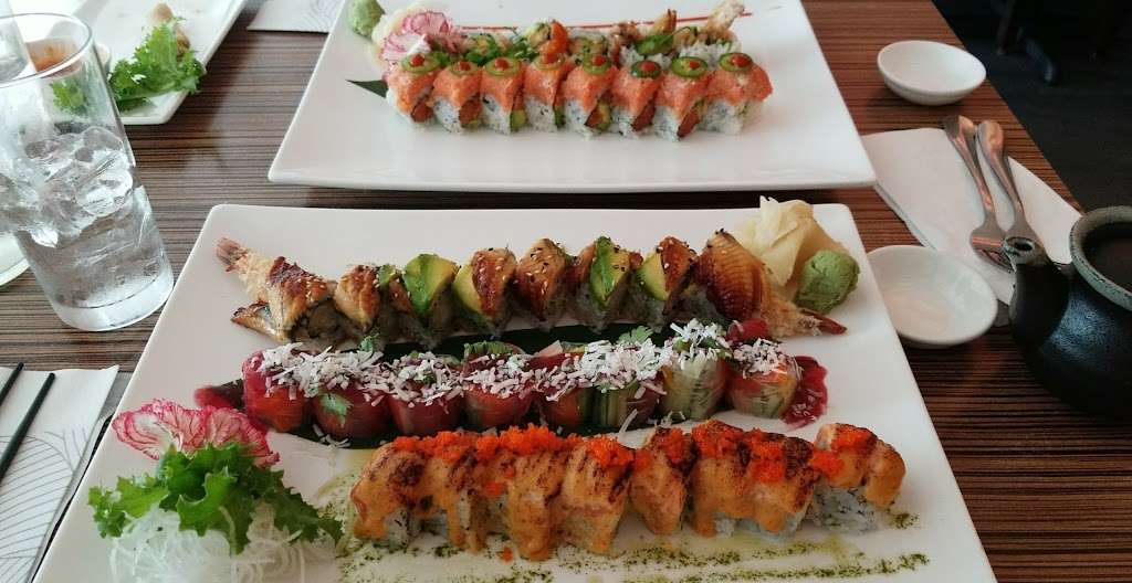 Hachi | 4275 County Line Rd #9, Chalfont, PA 18914, USA | Phone: (267) 477-1781