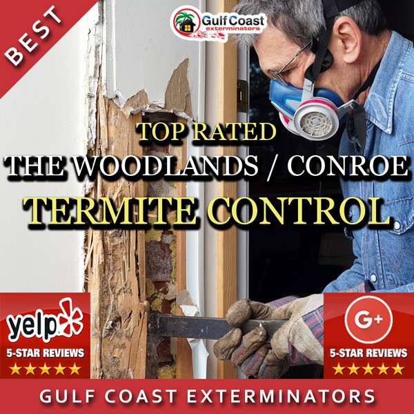 Pest Control The Woodlands Gulf Coast Exterminators | 3600 Fm 1488 Rd Ste 120 #129, Conroe, TX 77384, USA | Phone: (281) 348-5220