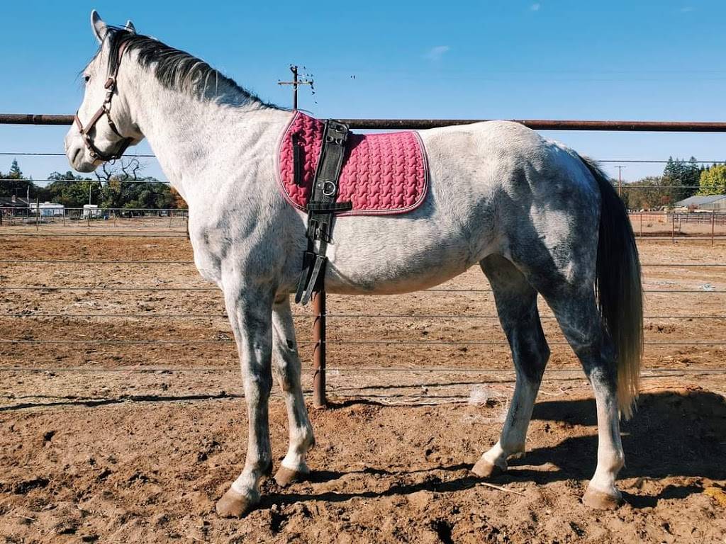 Hoofbeats Equestrian | 8790 Mecca Rd, Elk Grove, CA 95624, USA | Phone: (916) 796-3044