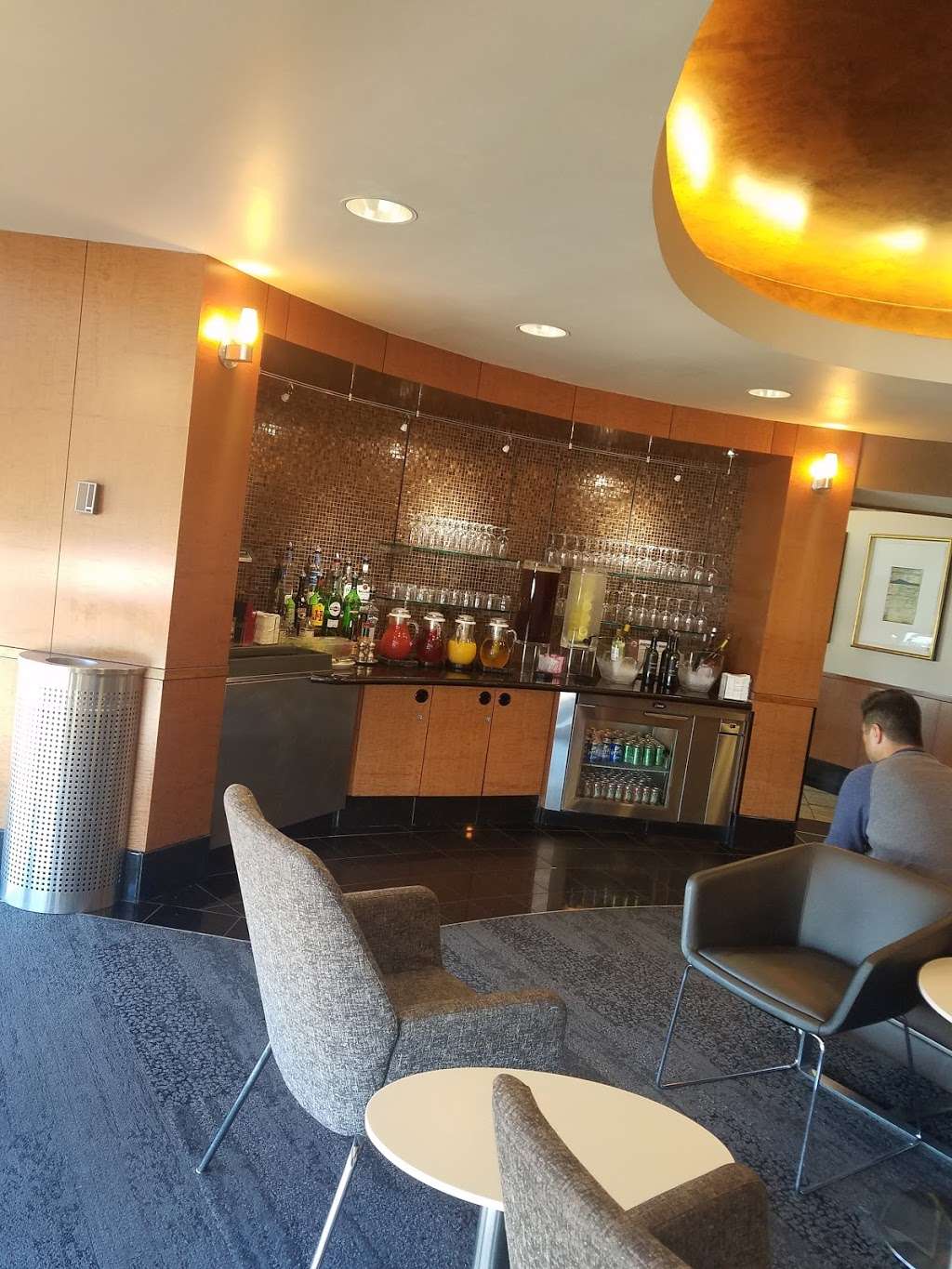 Delta Sky Club | 10000 Bessie Coleman Dr, Chicago, IL 60666, USA | Phone: (800) 455-2720