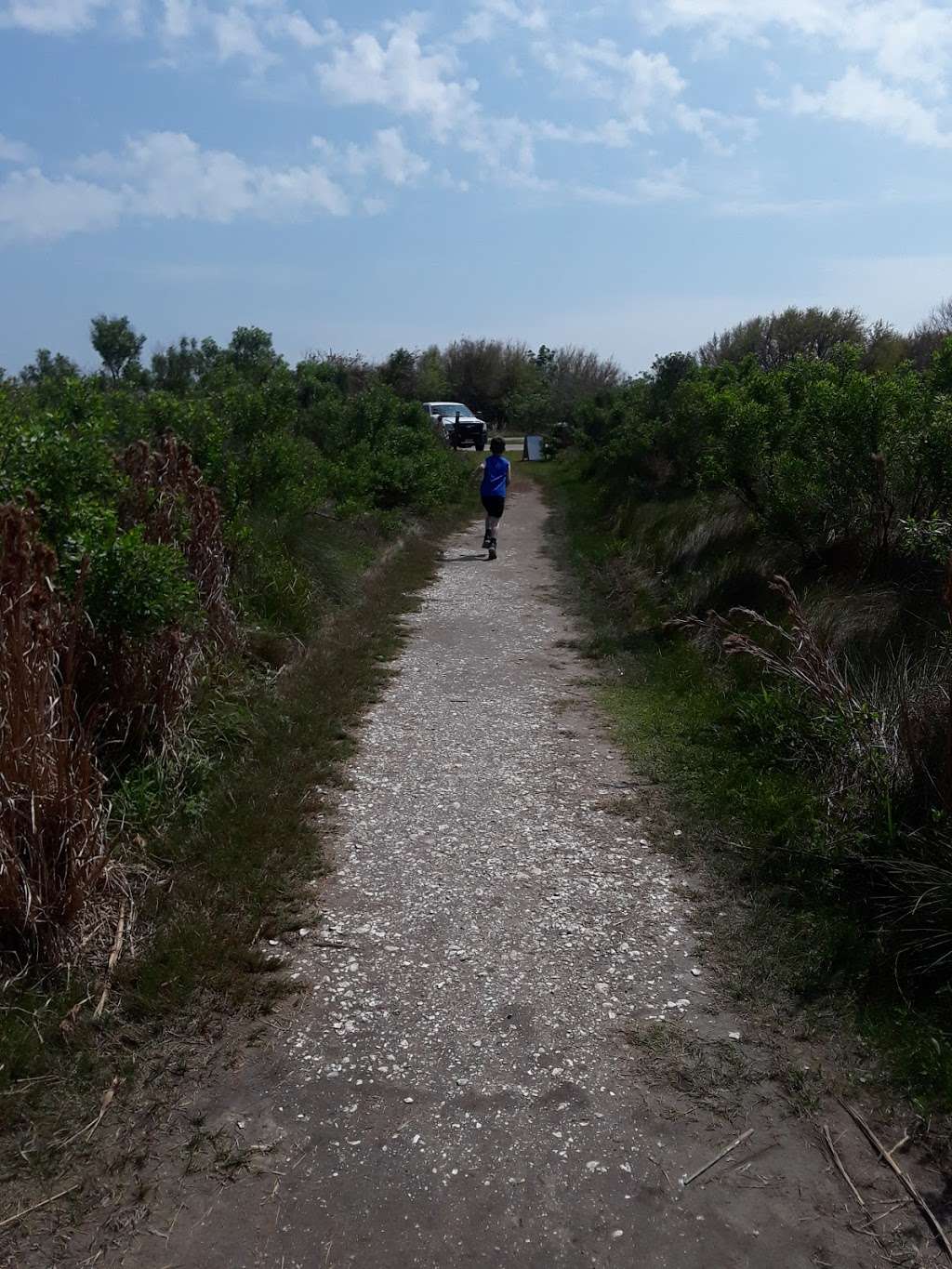 Galveston Island State Park Nature Center | 14901 FM3005, Galveston, TX 77554, USA