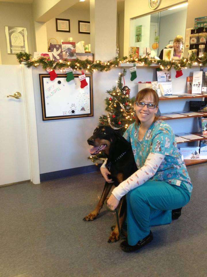 Green Lane Veterinary Hospital | 3015 Main St, Green Lane, PA 18054, USA | Phone: (215) 234-0434