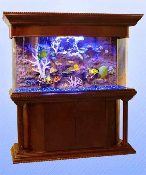 Aqua Vim | 54-08 46th St, Maspeth, NY 11378, USA | Phone: (718) 433-2698