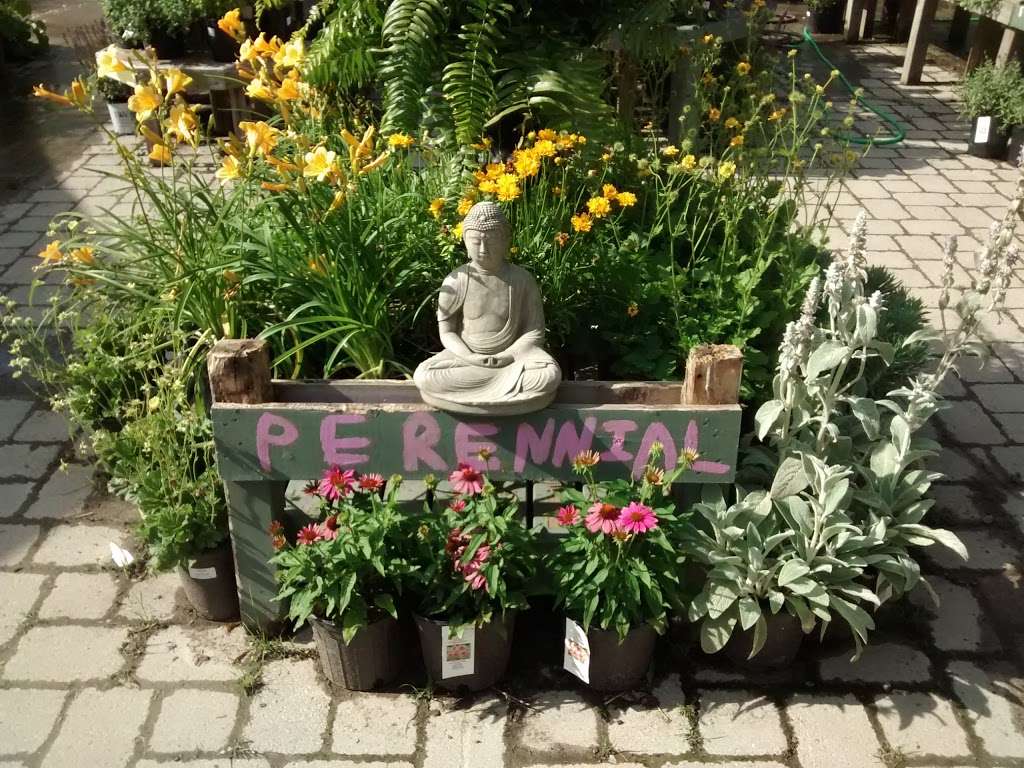 Pots & Plants | 10106 Georgetown Pike, Great Falls, VA 22066, USA | Phone: (703) 759-5900