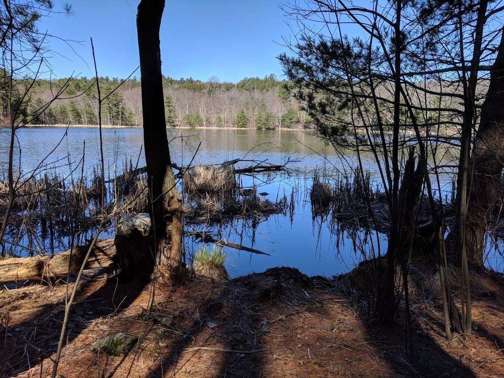 Ayer Conservation Trails | 73 Groton-Harvard Rd, Ayer, MA 01432, USA