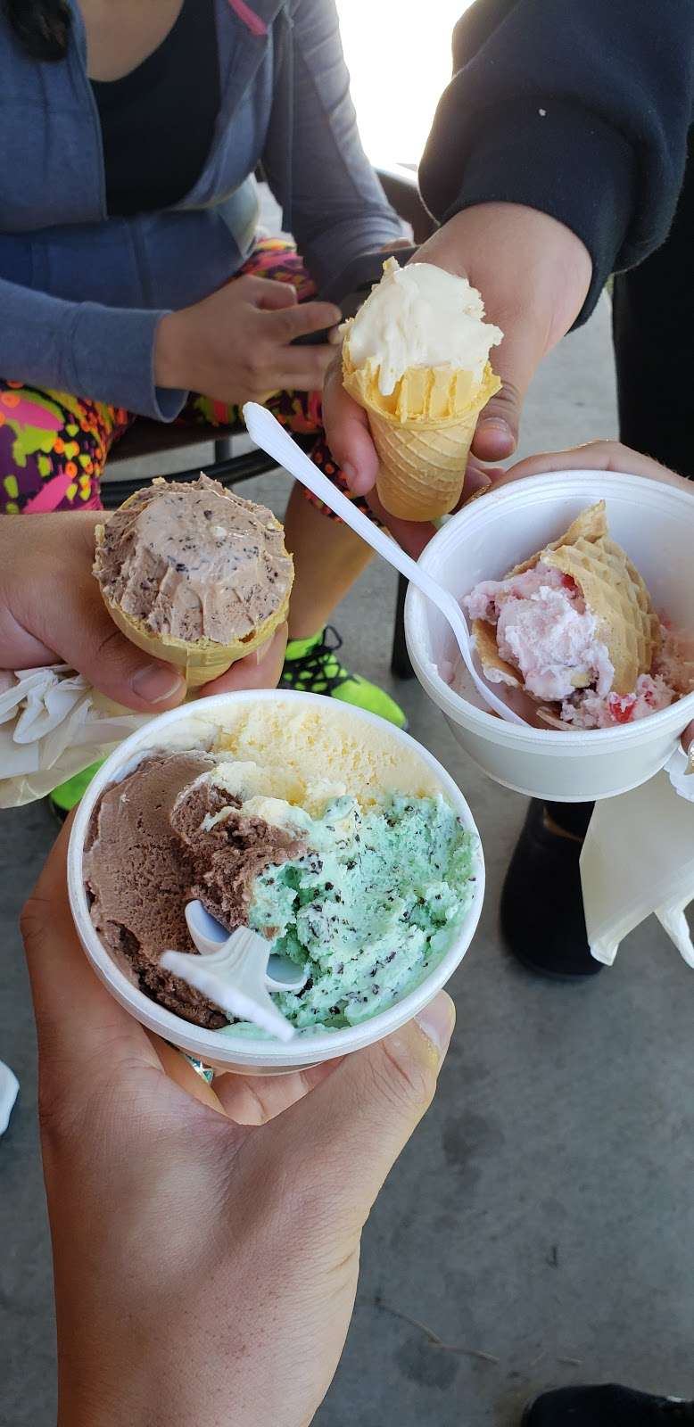 Desert Swirl Frozen Yogurt and Ice Cream | 4273 W Thunderbird Rd, Phoenix, AZ 85053, USA | Phone: (602) 548-0979