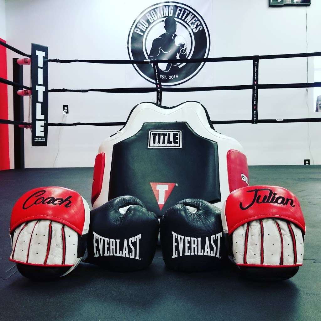 Pro Boxing Fitness South Elgin | 304 N La Fox St, South Elgin, IL 60177, USA | Phone: (224) 238-7113