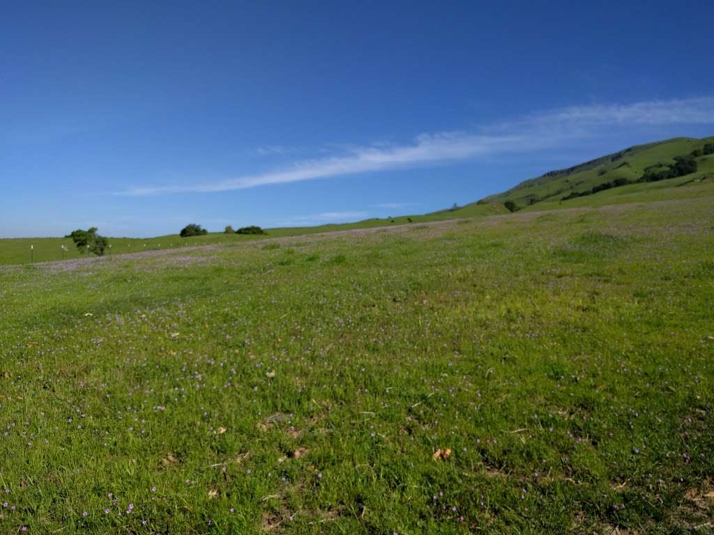 Mission Peak Paragliding and Hang Gliding Landing Zone | Fremont, CA 94539, USA | Phone: (510) 544-2222