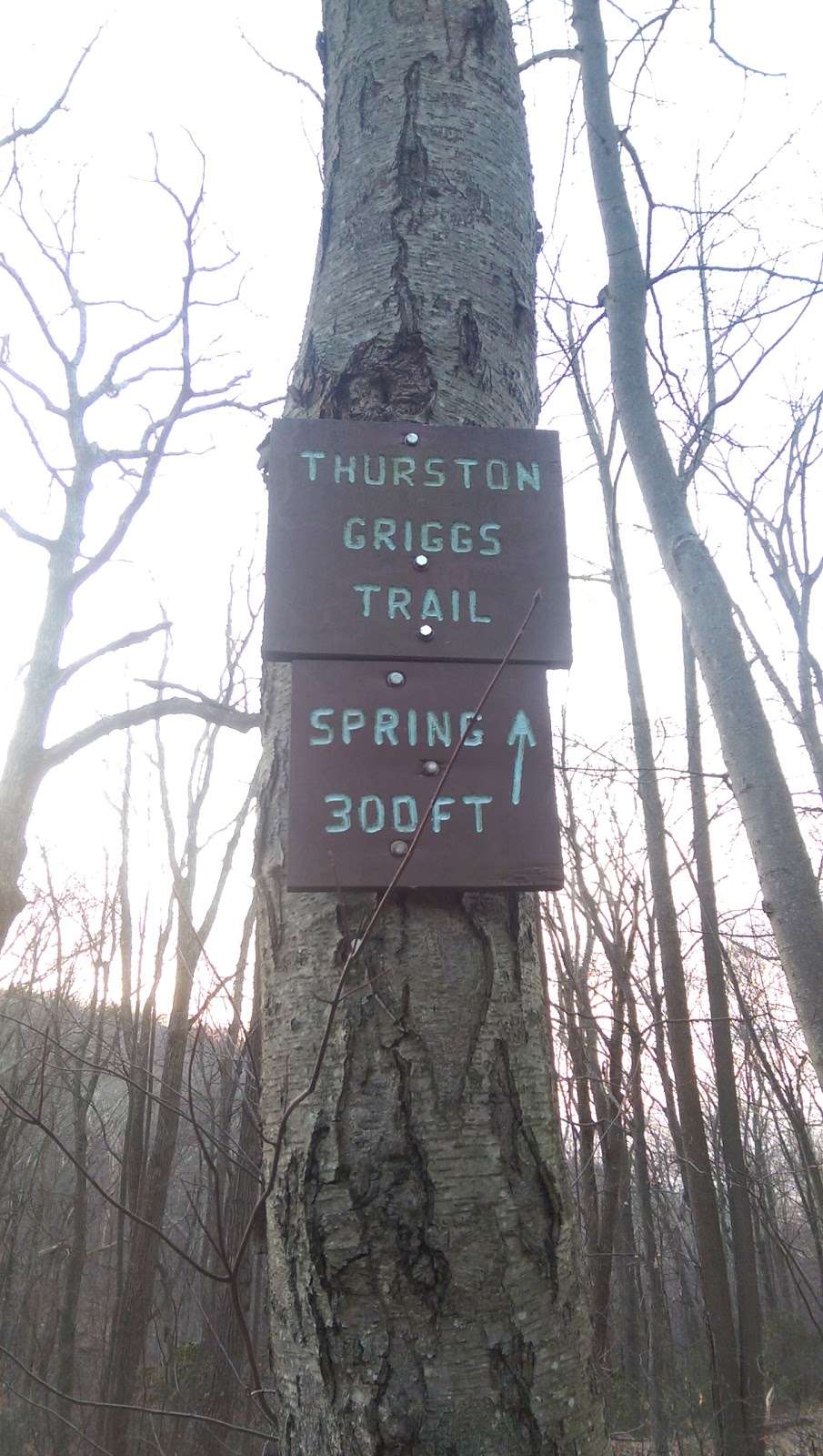 Pogo Memorial Campsite | Appalachian Trail, Hagerstown, MD 21740, USA