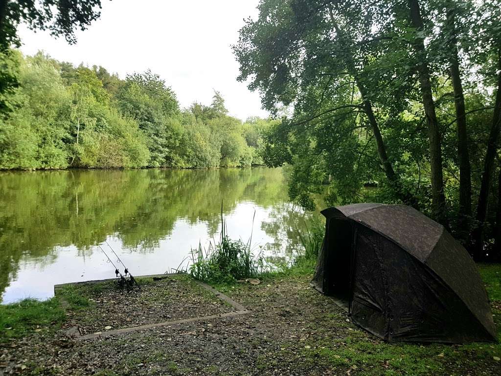 Bentley Fishery - Carp Lake | Mores Ln, Brentwood CM14 5RU, UK | Phone: 07939 074089