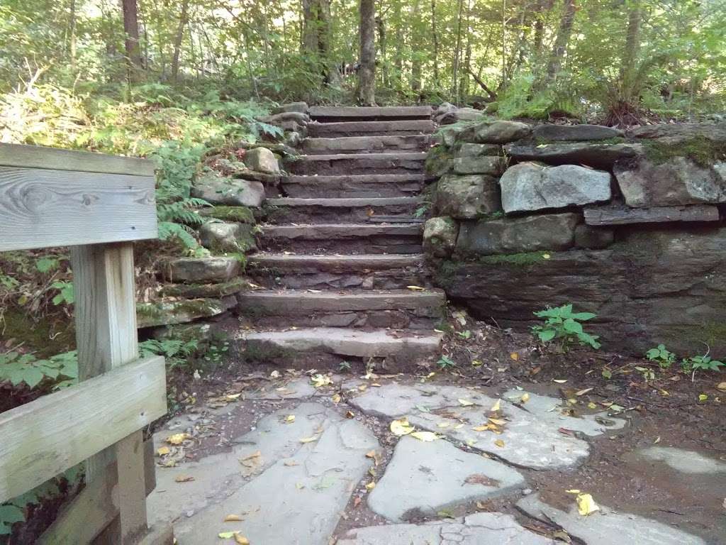 Falls Natural Trail, Ricketts Glen | PA-118, Benton, PA 17814, USA