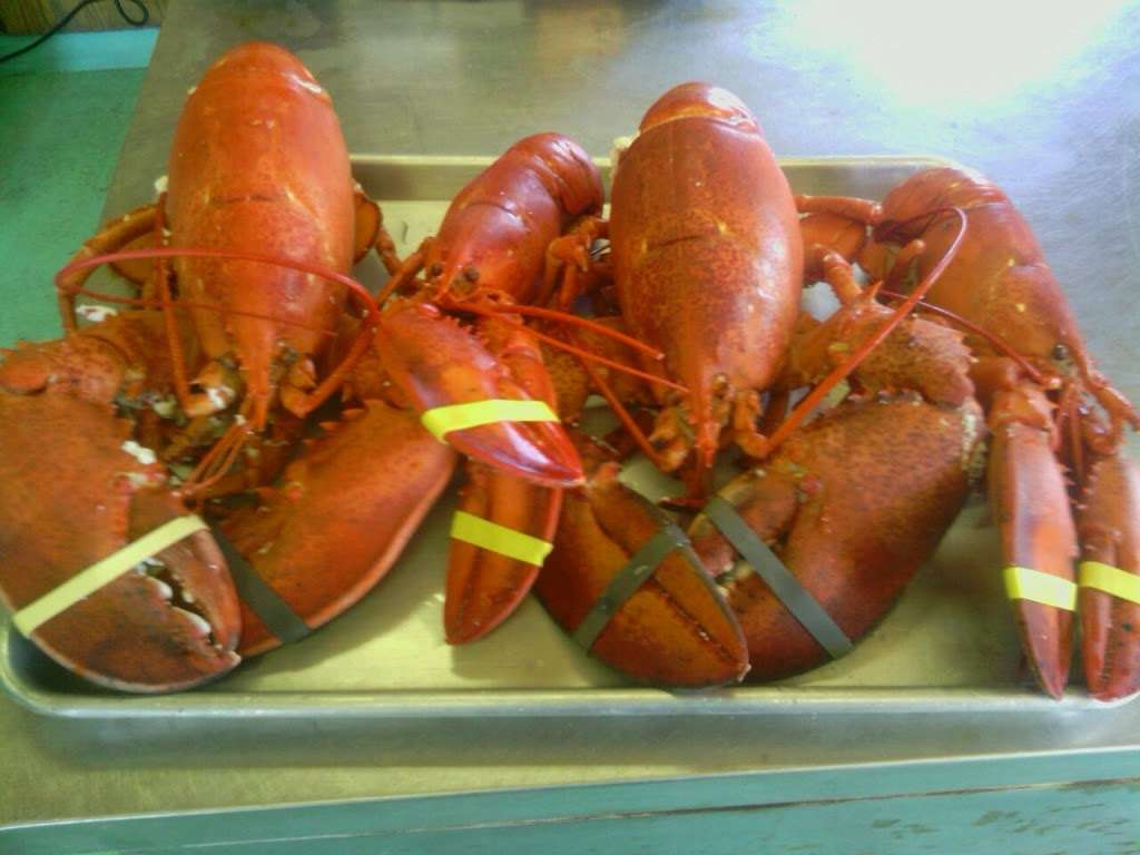 Smittys State Pier Lobster Pound | 1 Ocean Blvd, Hampton, NH 03842, USA | Phone: (603) 926-1488