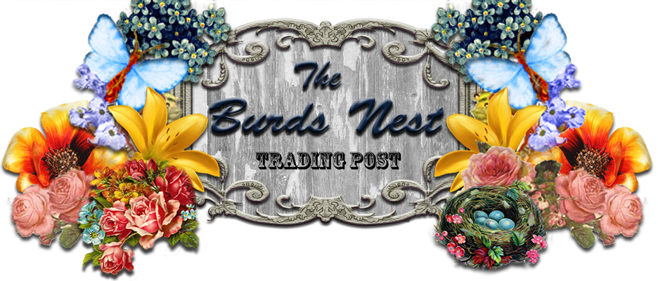 The Burds Nest | 430 Grand Ave, Bacliff, TX 77518, USA | Phone: (409) 795-9929