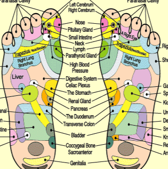 Claudia Liu, Foot Reflexology and Reiki Master | 32 Briar Brook Ln, Campbell Hall, NY 10916, USA | Phone: (631) 922-1220