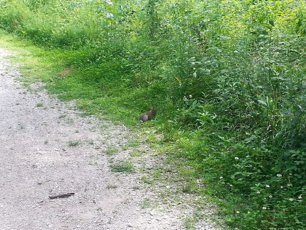 Camp Alphonse | 1393 W Dundee Rd, Palatine, IL 60067, USA | Phone: (800) 870-3666