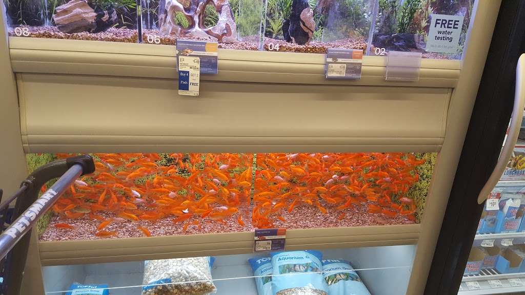 PetSmart | 310 Highway 36 Suite 25 West, Long Branch, NJ 07764 | Phone: (732) 676-9773