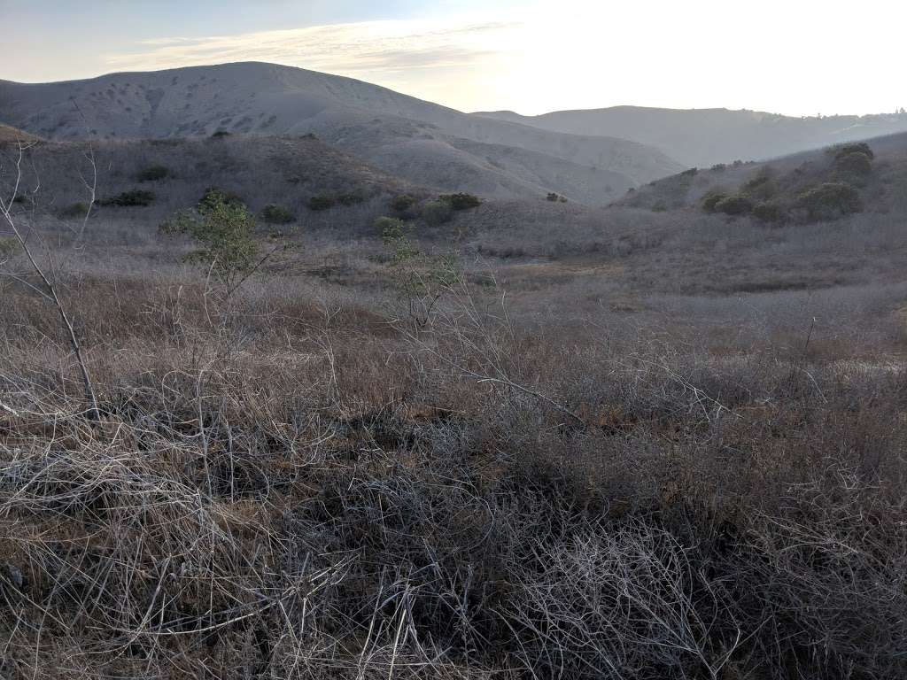 Water Trough | Yorba Linda, CA 92887, USA