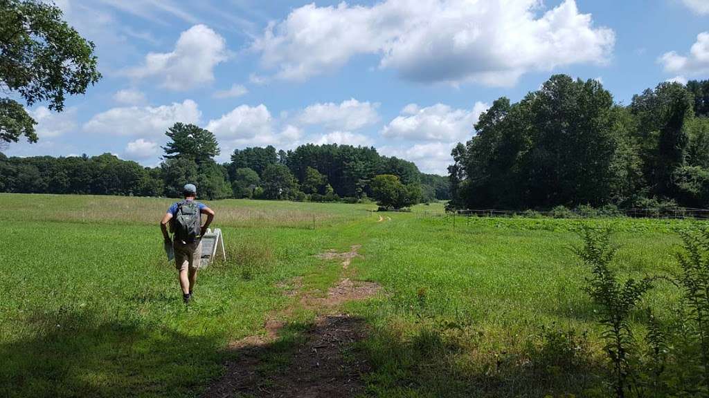 Adams Woods Conservation Land, Town of Lincoln | Adams Woods Trails, Concord, MA 01742