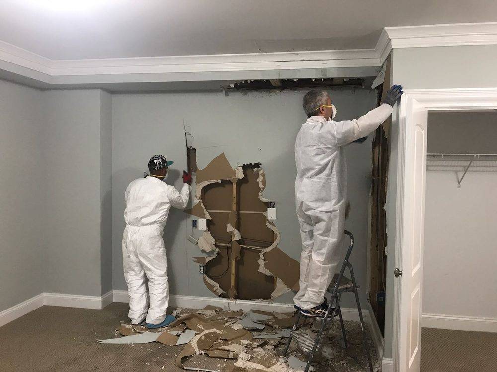 Restoration Doctor, Inc. | Northern Virginia Water Damage Restor | 2300 Pimmit Dr Suite 217, Falls Church, VA 22043, USA | Phone: (703) 340-5356