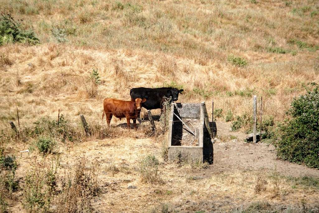 Bay Area Ridge Hiddenbrooke Trailhead | Ridge Trail, Vallejo, CA 94591, USA | Phone: (415) 561-2595