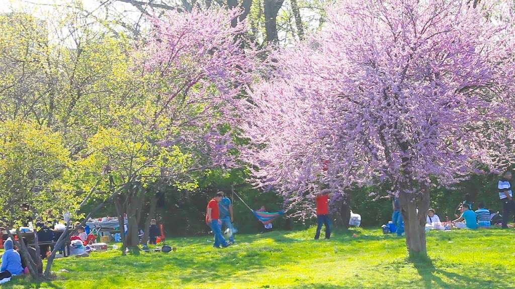 Reagan Airport Park | 12 Mt Vernon Trail, Arlington, VA 22202