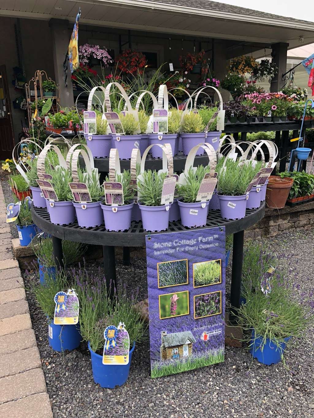 Achin Back Garden Center Inc | 10 Penn Rd, Pottstown, PA 19464, USA | Phone: (610) 495-2870