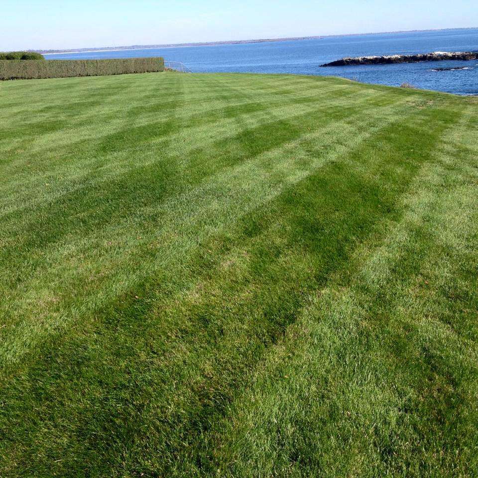 Gro Pro Organic Lawns | 234 Colwell Rd, Burrillville, RI 02830, USA | Phone: (401) 475-9884