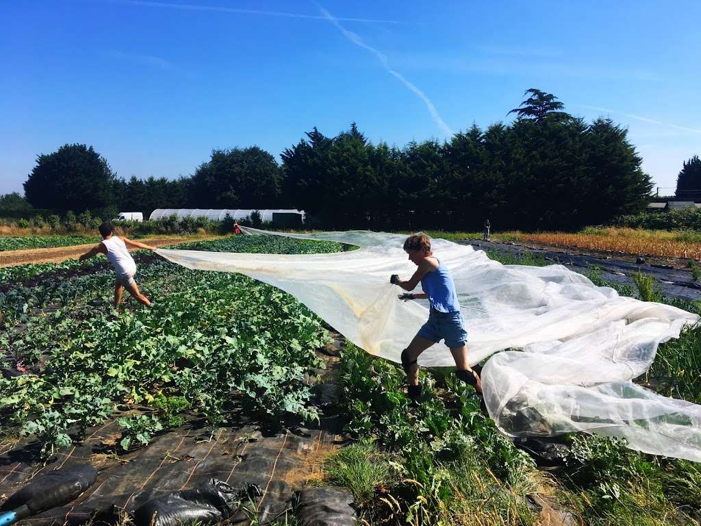 Sutton Community Farm | 40a Telegraph Track, Wallington SM6 0SH, UK | Phone: 07419 740754